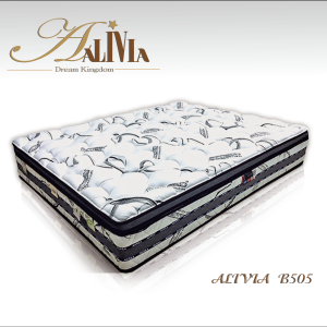 ALIVIA-B505(WEB)-01