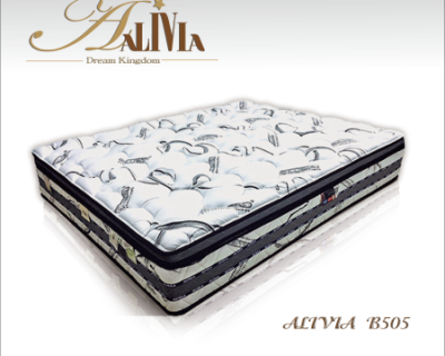 ALIVIA B505型