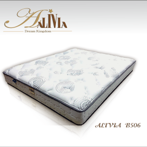 ALIVIA-B506(WEB)-01