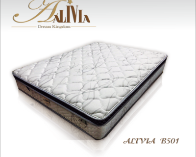 ALIVIA B501型